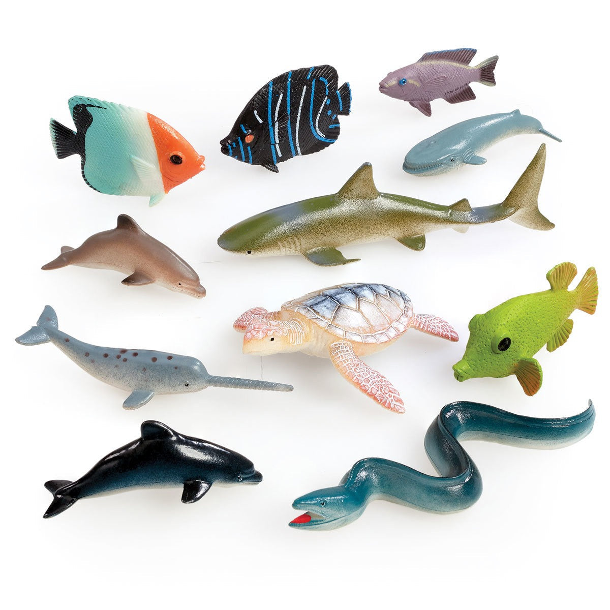 Mini Ocean Animals Early Learning Centre