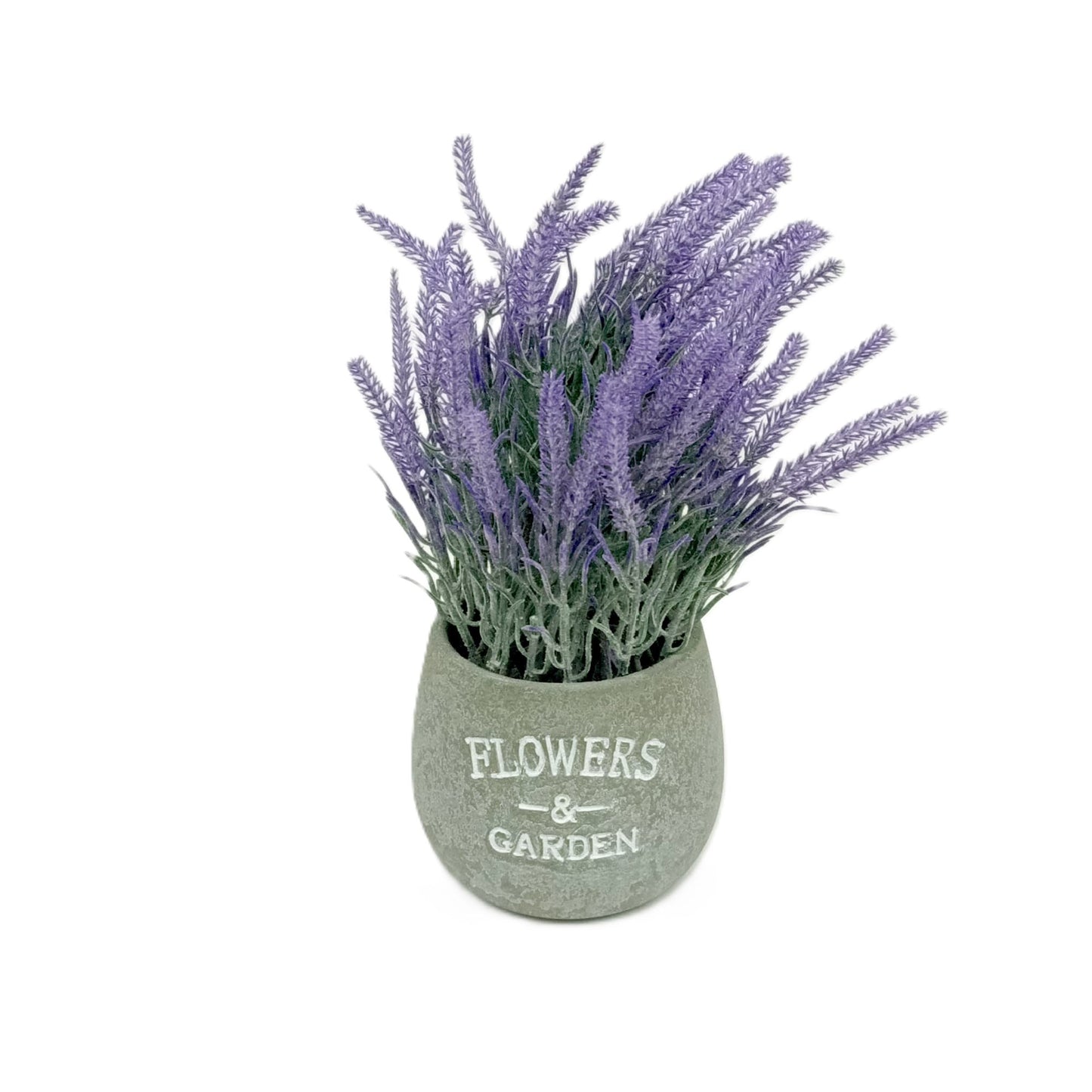 Flower Purple
