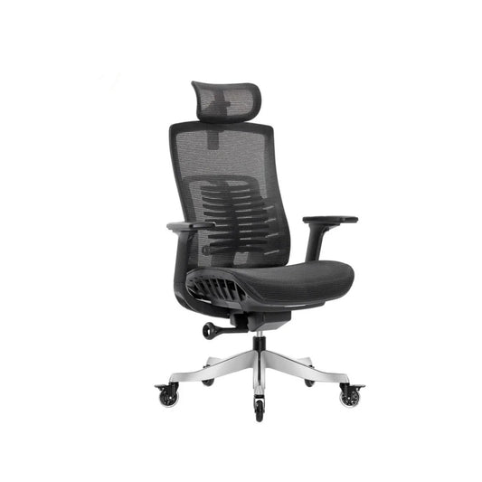Fantech OC1 PRO Professional Ergonomic Chair for All-Day-BLK FANTECH