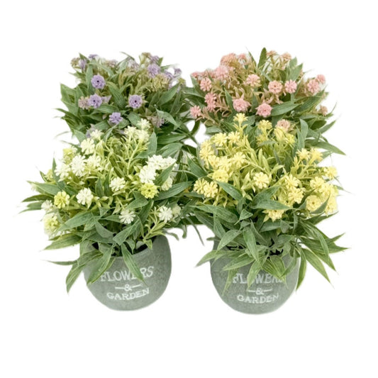 Flower White/Red/Purple