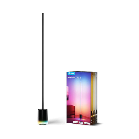 Govee Floor Lamp 2
