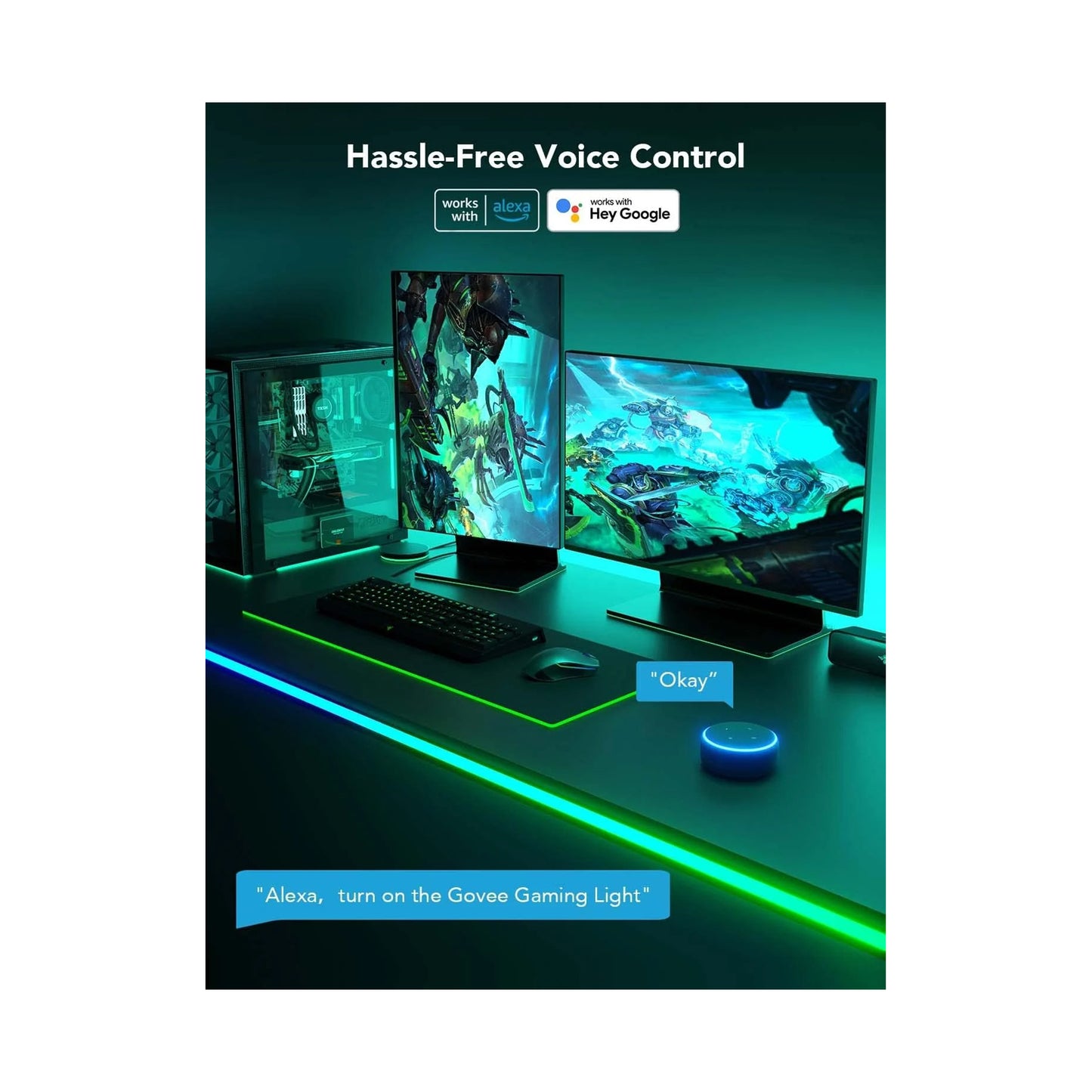 Govee Desk Neon Rope Light