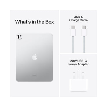 iPad Pro M5 11" 2Terra Wifi Silver