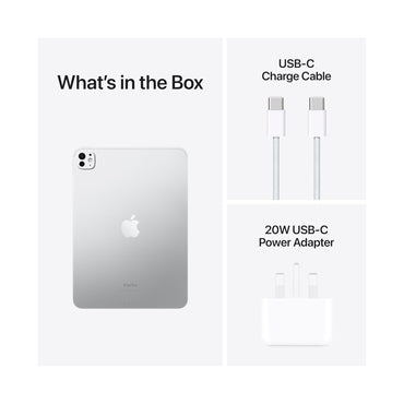 iPad Pro M4 11" 2Terra Wifi Silver