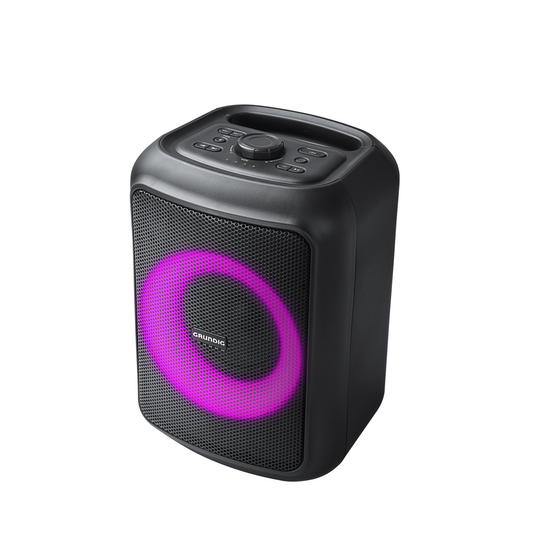 GRUNDIG Party Speaker Up To 12 Hours,Power Bank Out