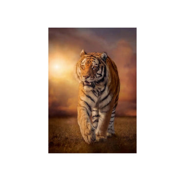 Clementoni Tiger Puzzle Clementoni