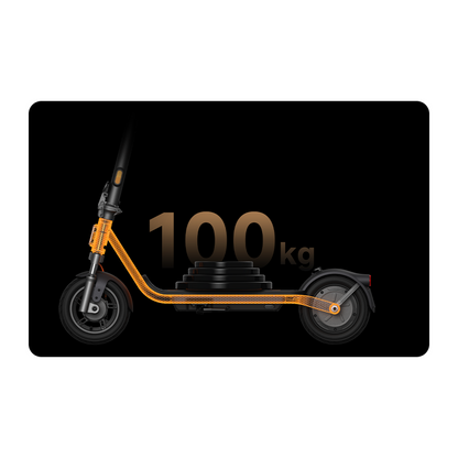 Xiaomi Electric Scooter 6 Lite - 1 Year Warranty MI