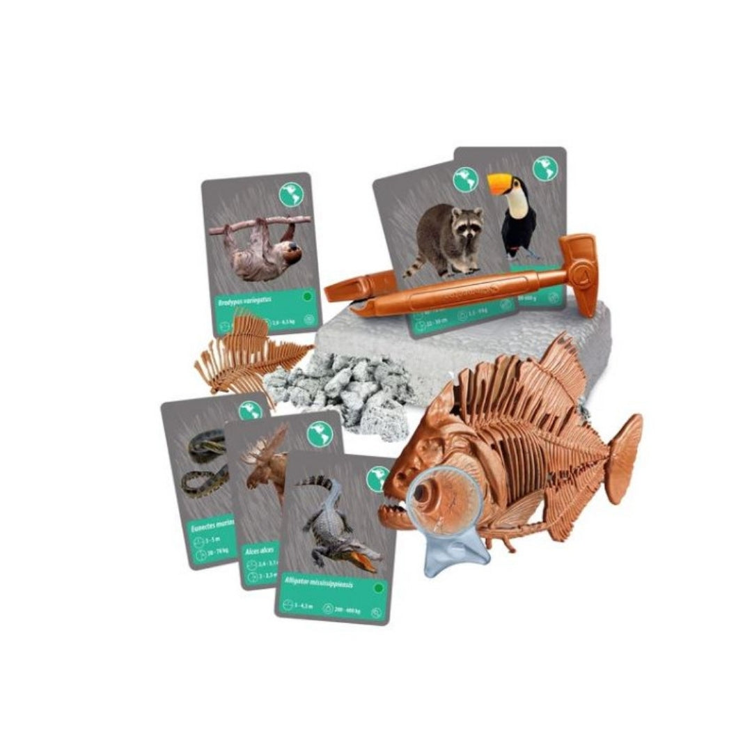 Clementoni Animal Discovery Kit With Virtual Reality Clementoni