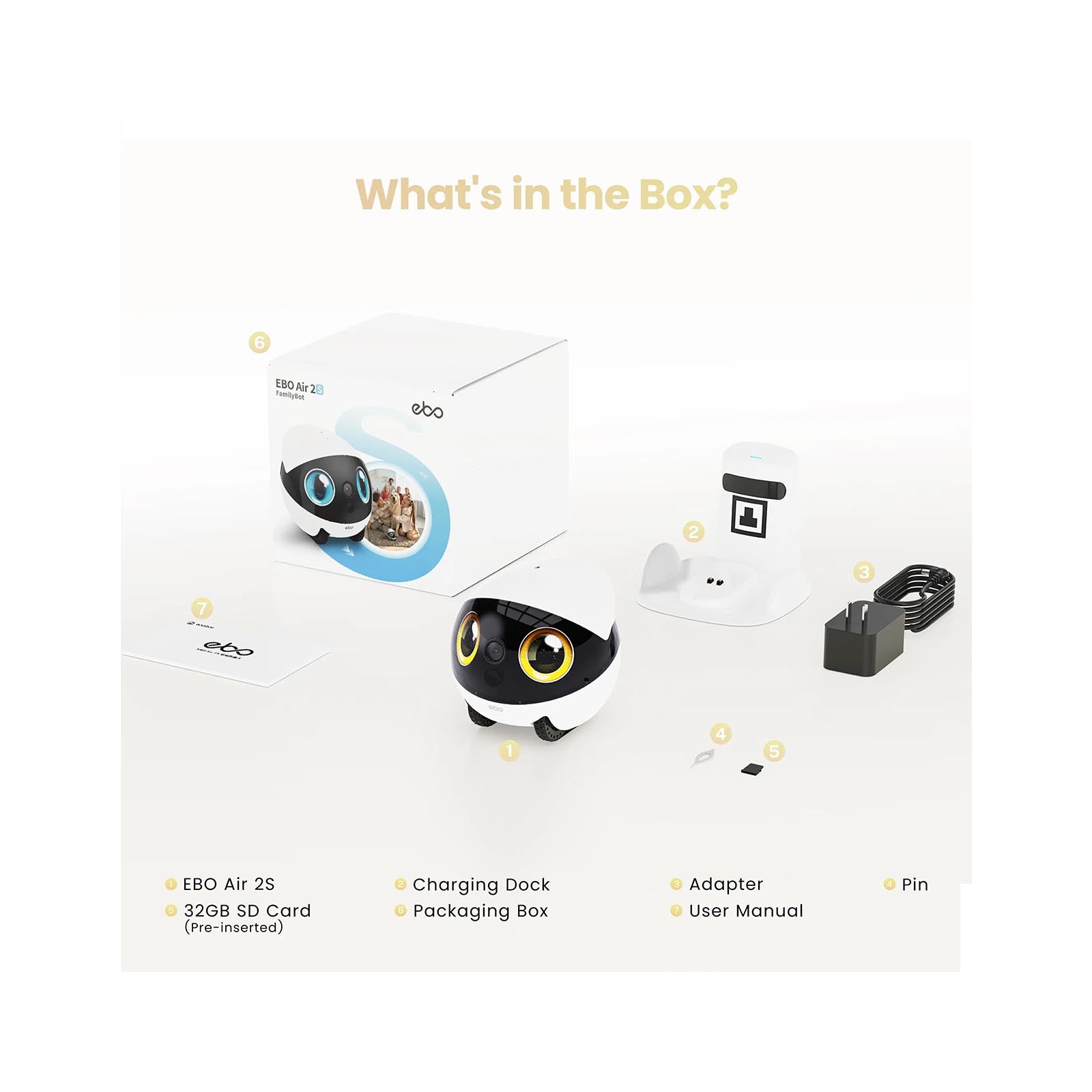 EBO AIR 2S FamilyBot