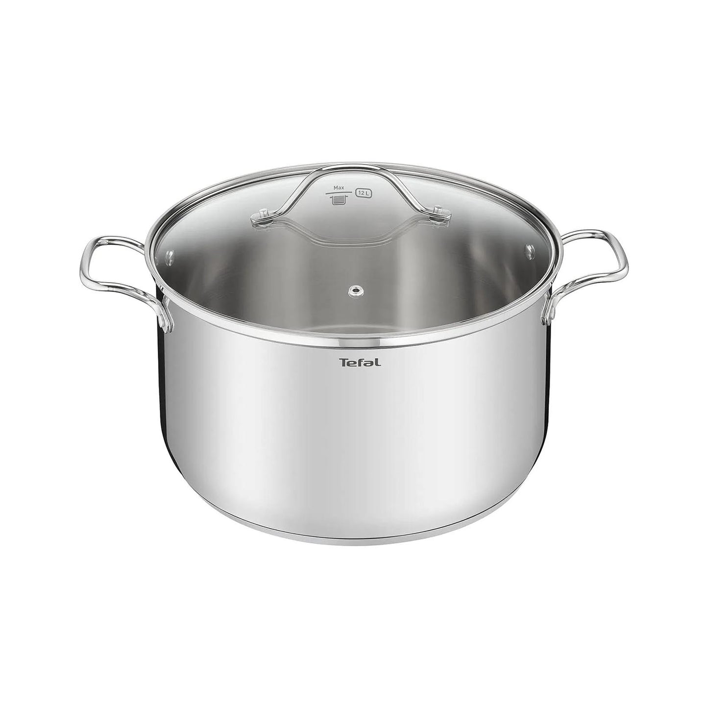 Intuition G6 SS Stockpot 36+ lid (17.5L) TEFAL