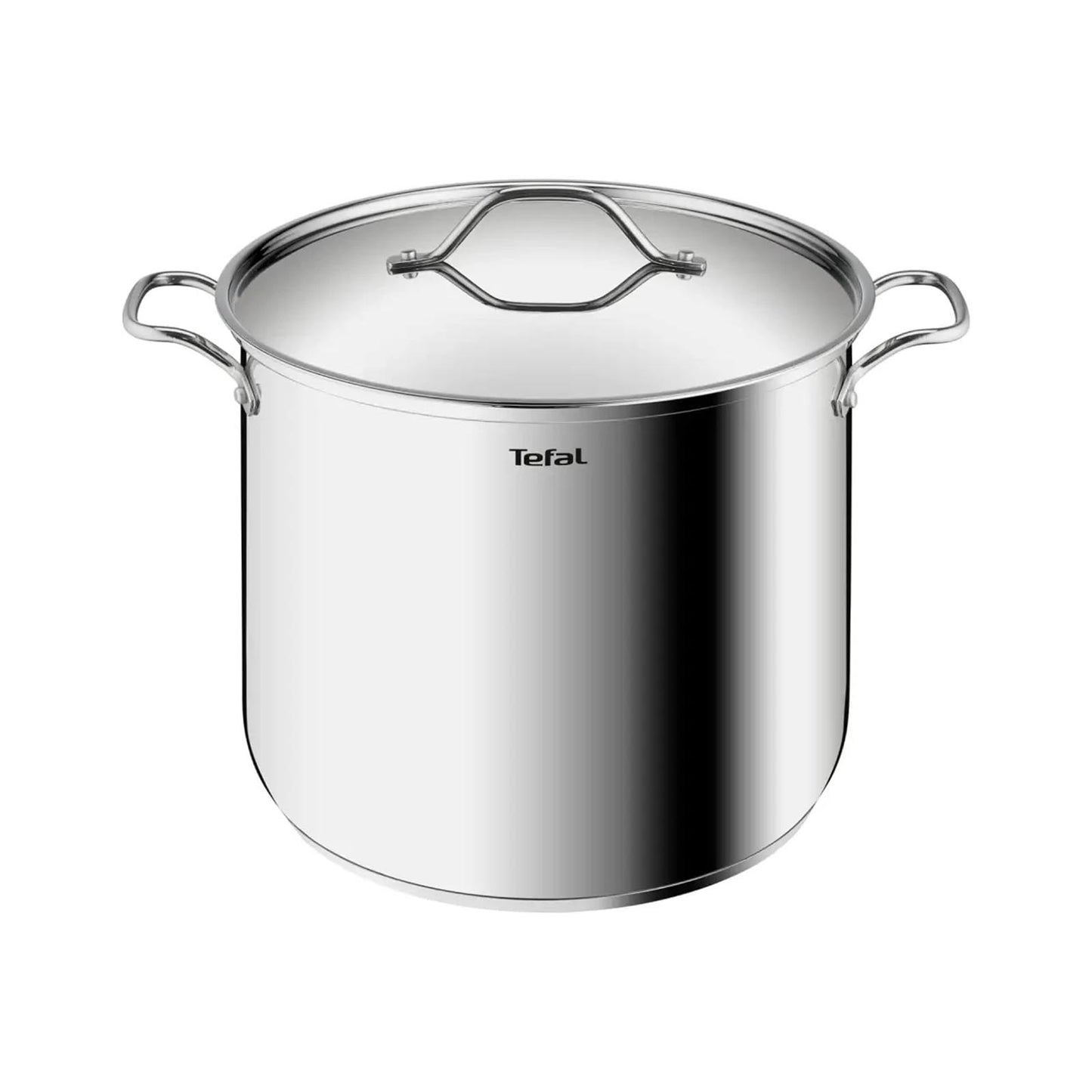 Intuition G6 SS Deep Stockpot 28cm +S/S lid (12L) TEFAL