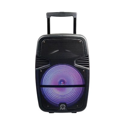 IDEA 15" TROLLEY SPEAKER WITH 2 VHF WIRELESS MIC.