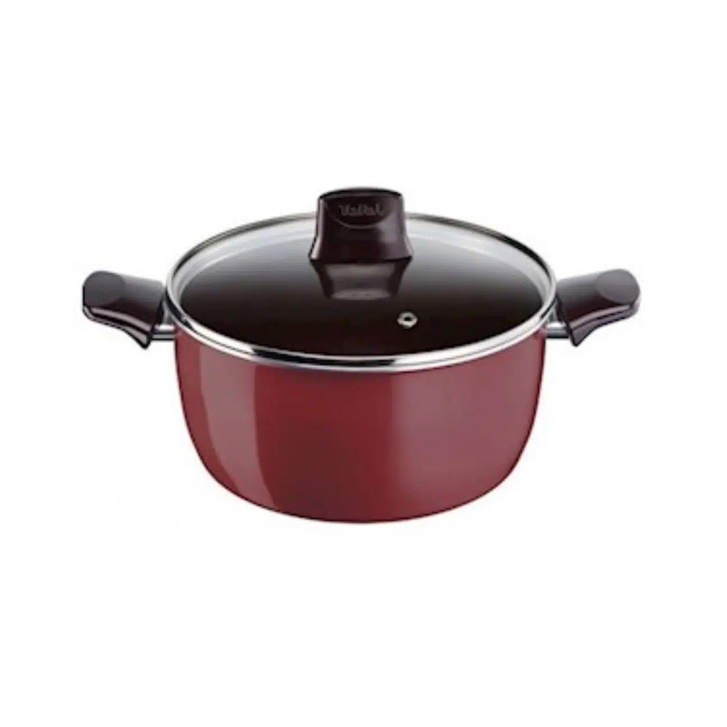 Tefal Stewpot Pleasure 24 Cm