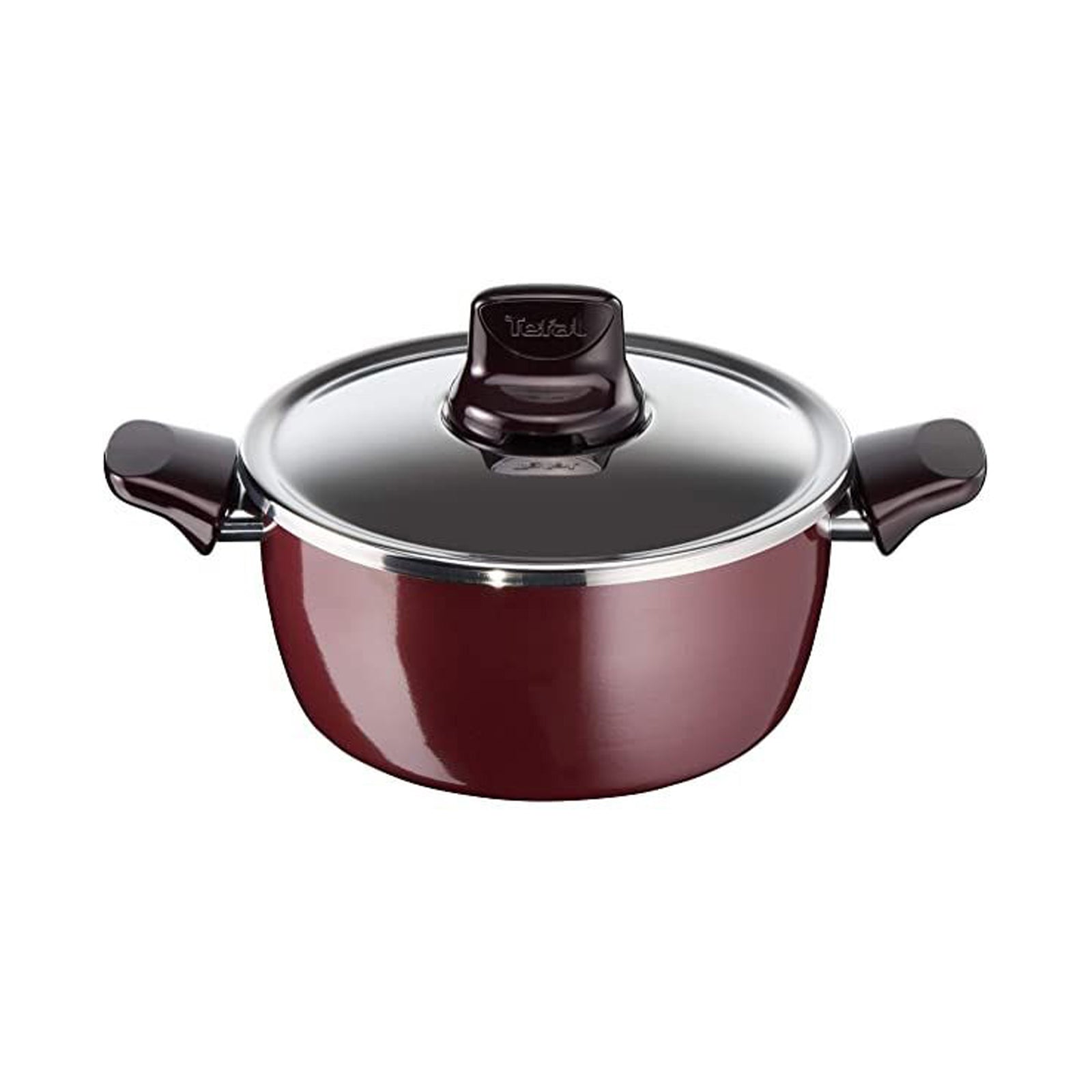 Tefal Stewpot Pleasure 26 Cm