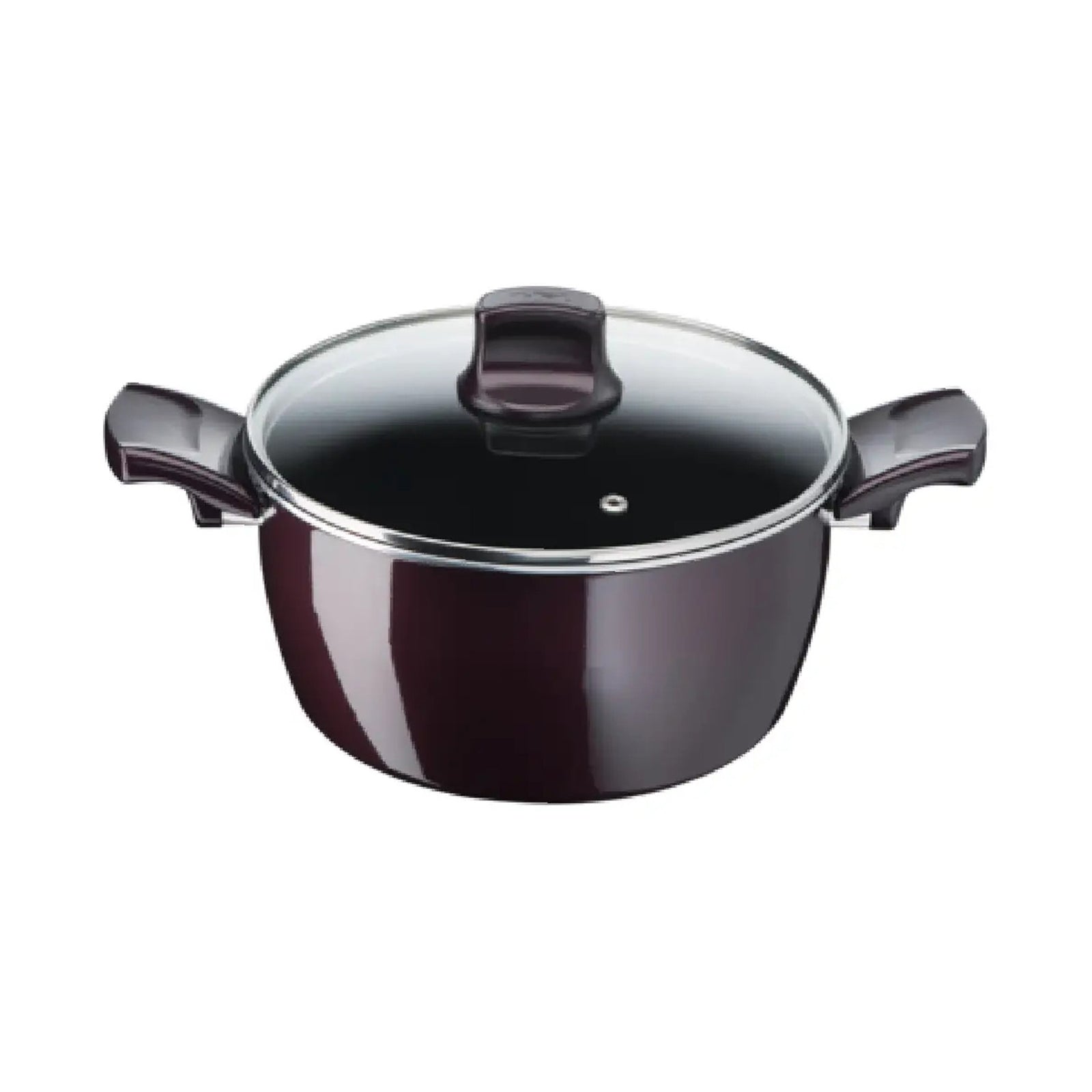 Tefal Tefal Faitout 24+Cv Resist Intense Stewpot