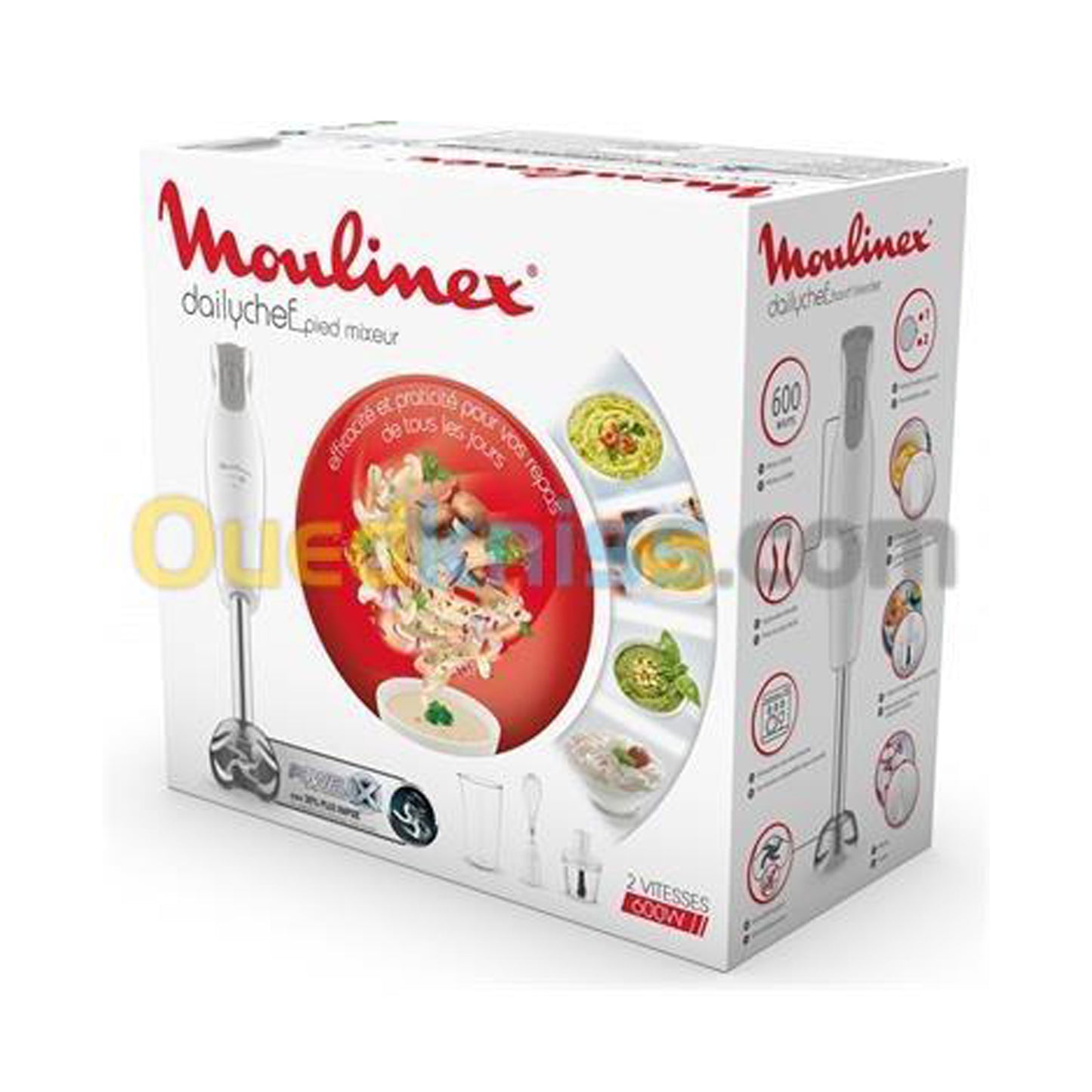 Moulinex Hand blender Set 600w White