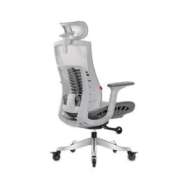 Fantech OC1 PRO Professional Ergonomic Chair for All-Day-GRY FANTECH
