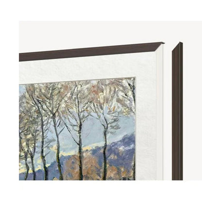 TCL 55" Frame - Dark Oak