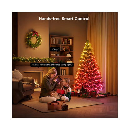 Govee String Lights 2S 20 meters