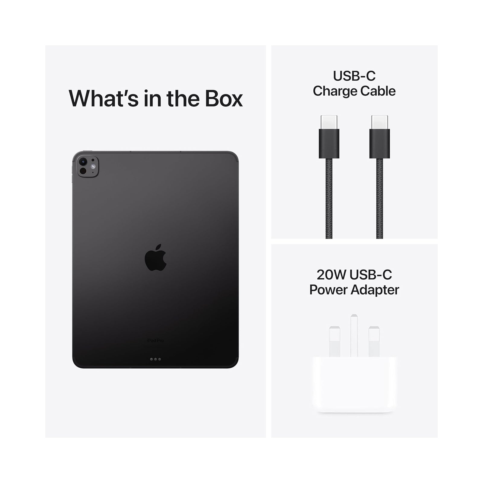 iPad Pro M5 13" 2 Terra Wifi Space Black