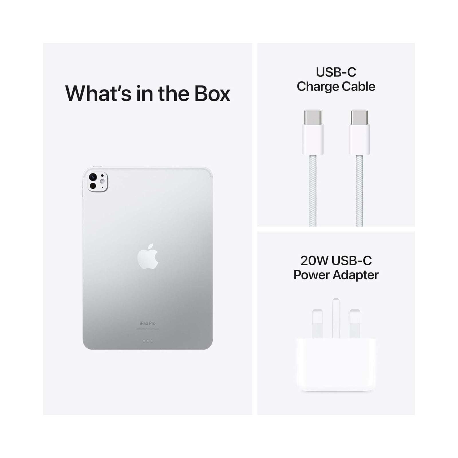 iPad Pro M5 13" 2 Terra Wifi Silver