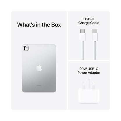 iPad Pro M4 11" 1Terra Wifi Silver