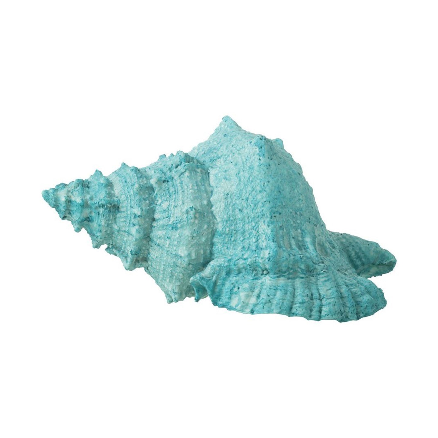 POLY AZUR SHELL (25x17x13cm)