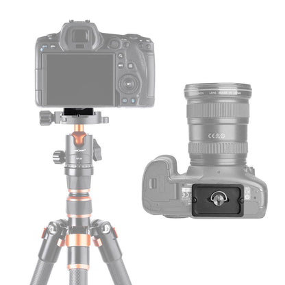 K&F Camera Tripod Quick Release Mounting Plate