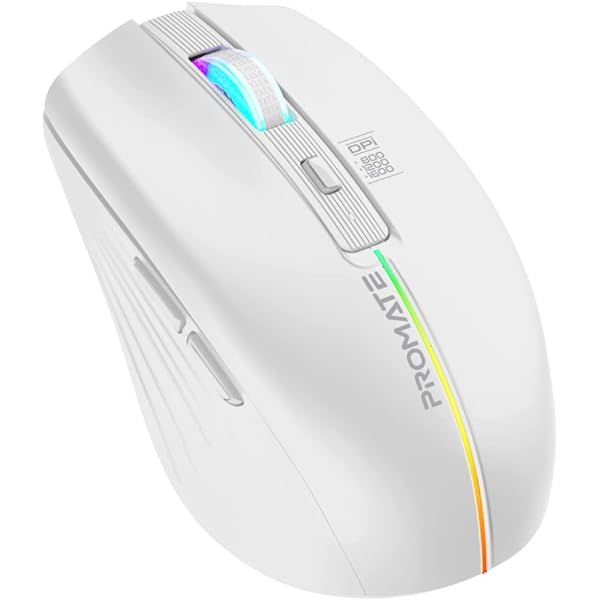 PROMATE 2.4GHz Wireless Ergonomic Mouse with LED