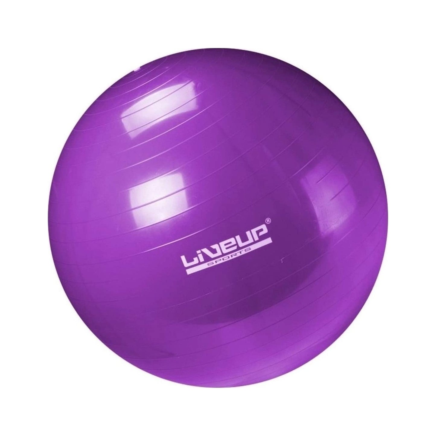 LiveUp Sport Gym ball-55cm