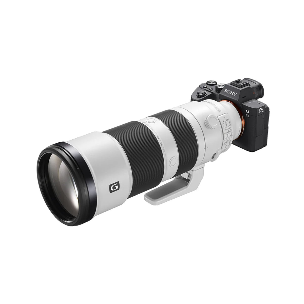 Sony FE 200-600mm f/5.6-6.3 G OSS Lens