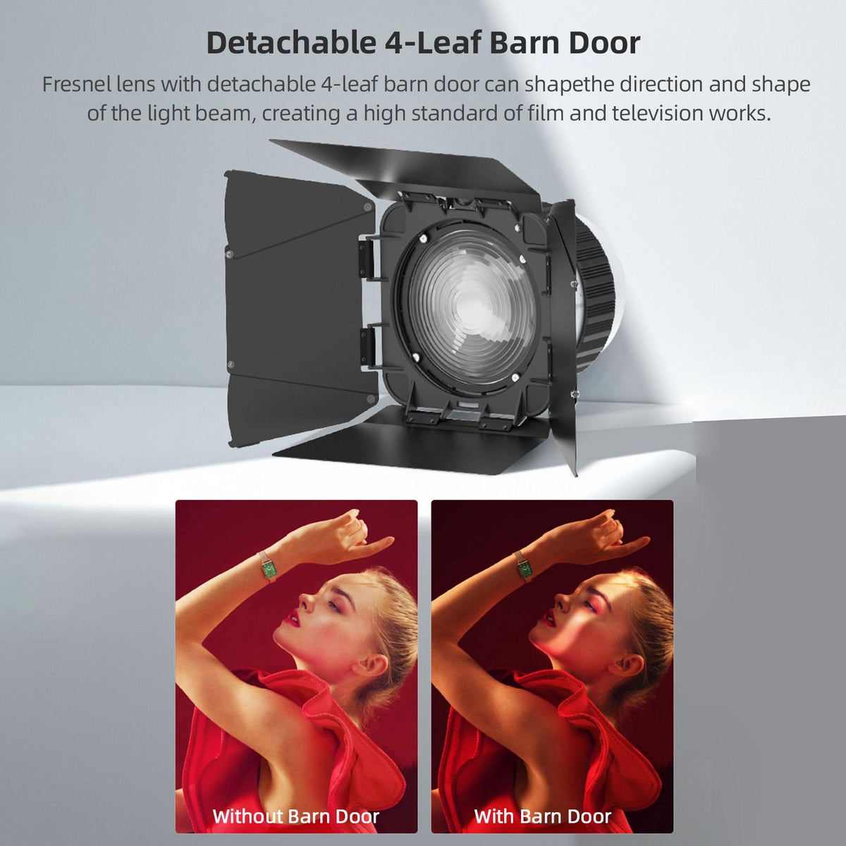 Fresnel F20